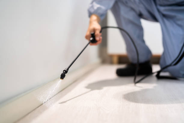 Licensed Cockroach Control service in Pembroke, VA - Nex Pest Control
