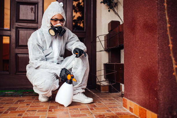 Reliable Cockroach Control contractor in Pembroke, VA by Nex Pest Control